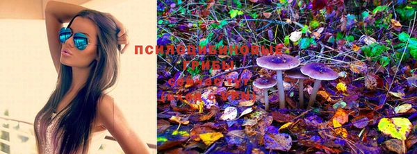 винт Михайлов