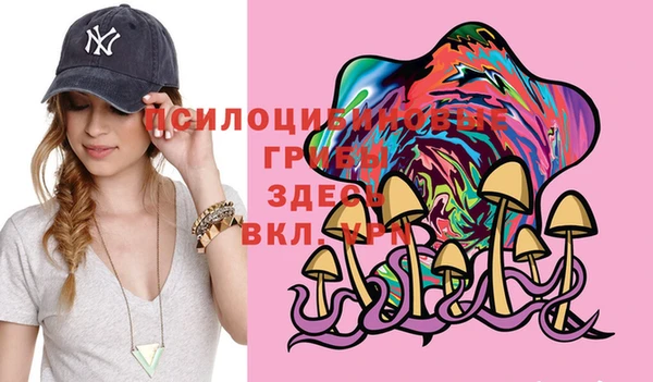 винт Михайлов
