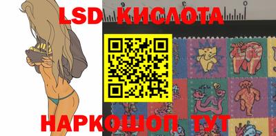 гидропоника Гатчина