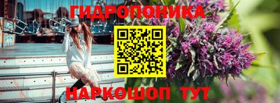 гидропоника Гатчина