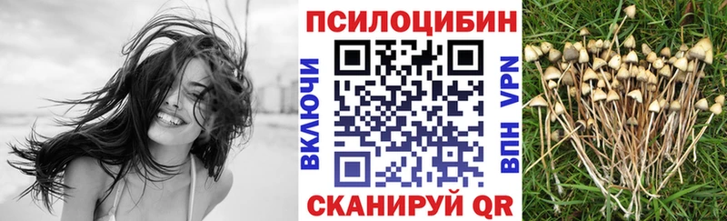 Галлюциногенные грибы Magic Shrooms  shop формула  Волоколамск 