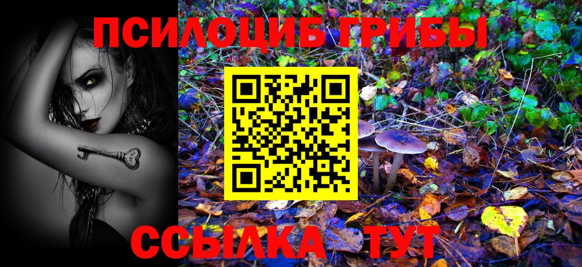 Псилоцибиновые грибы GOLDEN TEACHER  купить   Волоколамск  Вход с VPN 