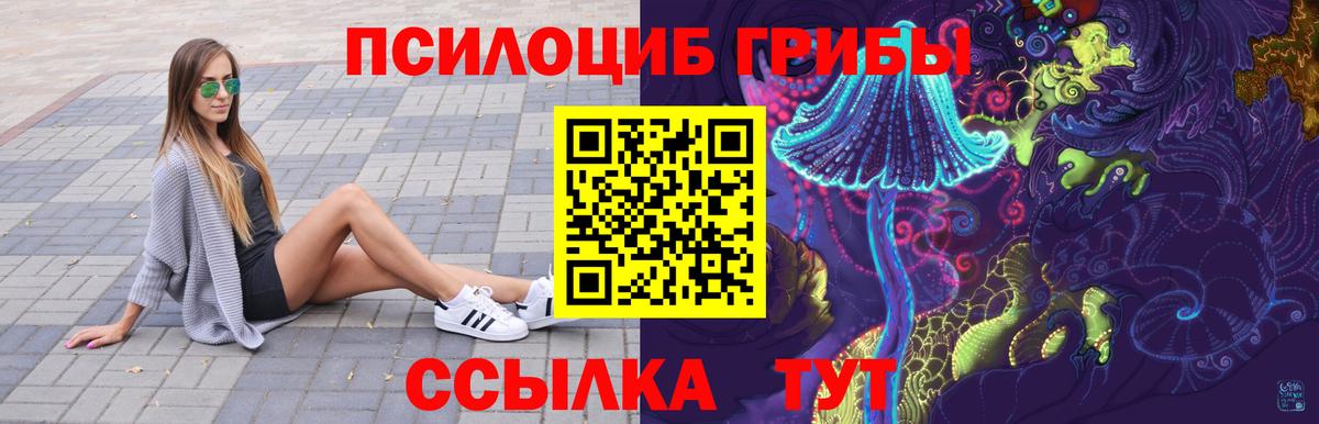 наркотики  Волоколамск  Псилоцибиновые грибы мицелий 
