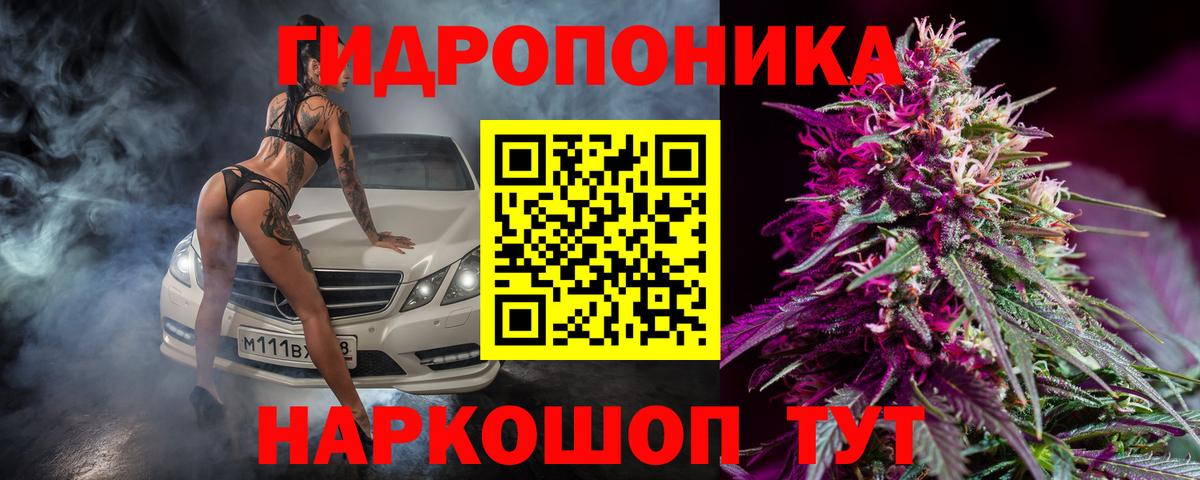 Канабис семена Волоколамск